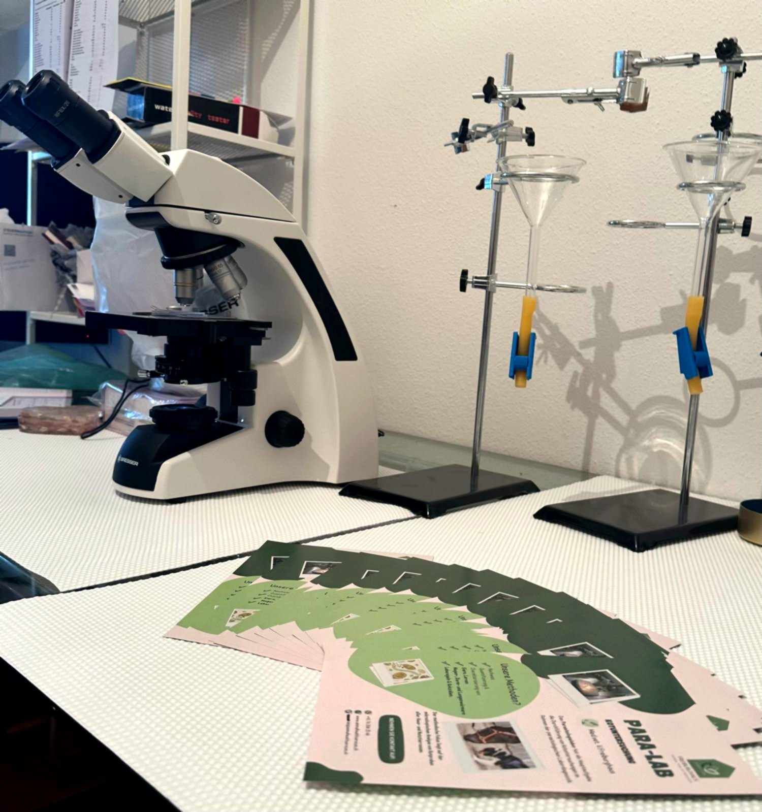 Freiburghaus, Animal Health Services, Schulstrasse 18 in Möhlin