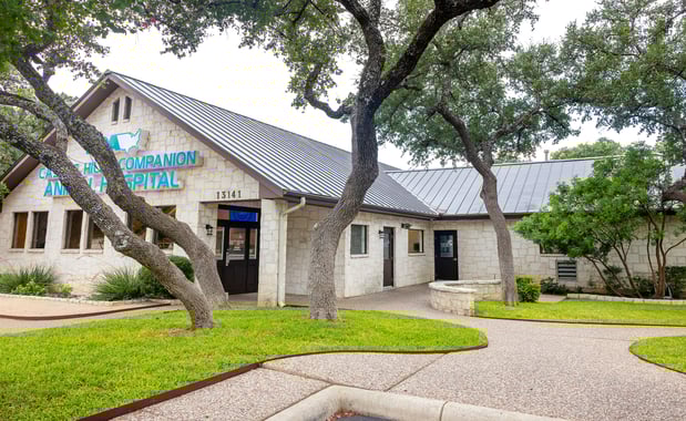 Images VCA Castle Hills Companion Animal Hospital