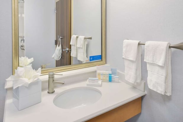Images Hampton Inn & Suites Denver-Speer Boulevard