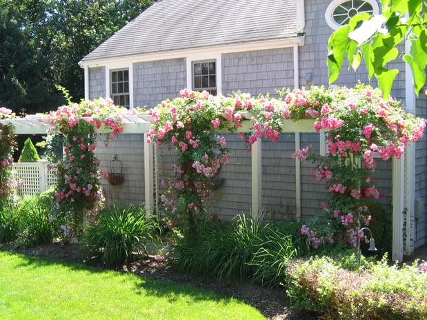 Images Ground Effects Landscaping