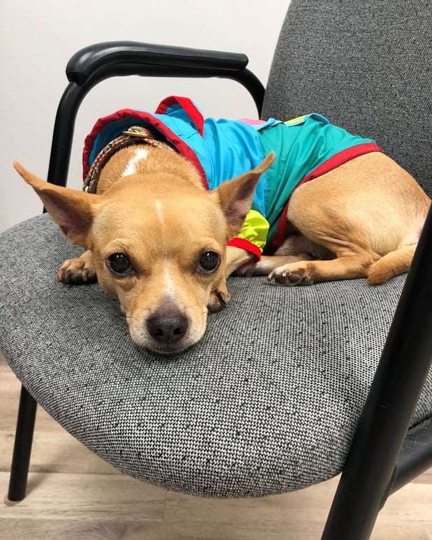 Images Mark Wilkinson - State Farm Insurance Agent