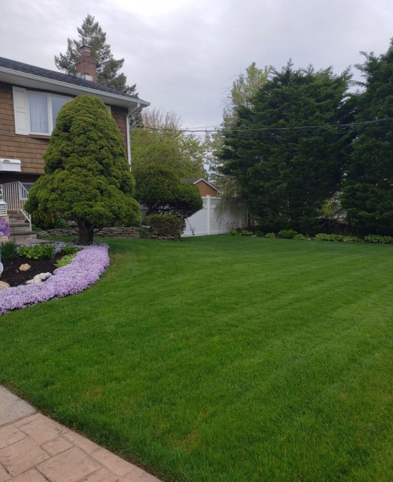 Take the first step to a greener & healthier lawn!