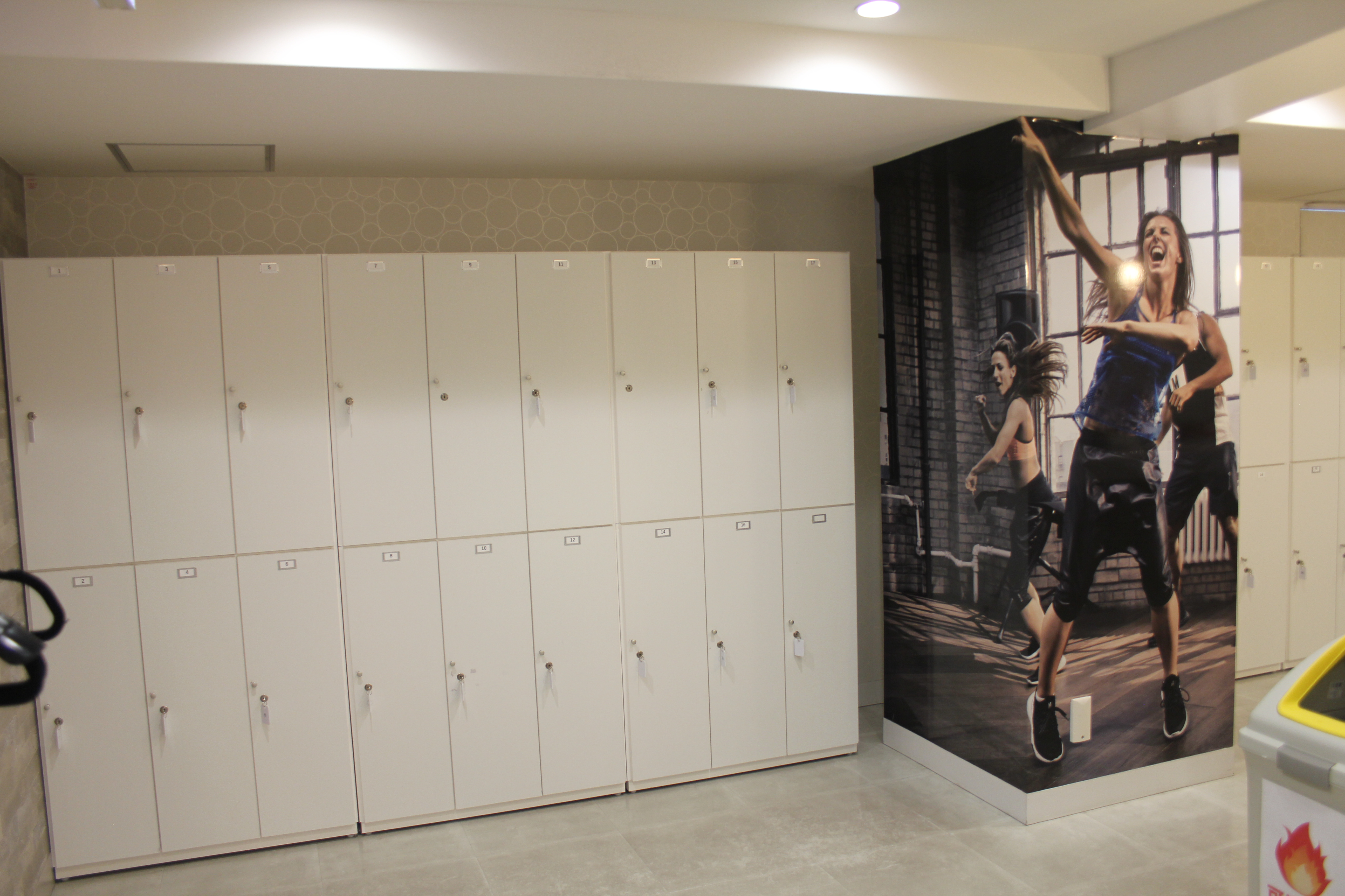Images TRIVE STUDIO&GYM