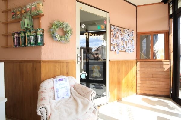 Images わんわんスタイルANNE