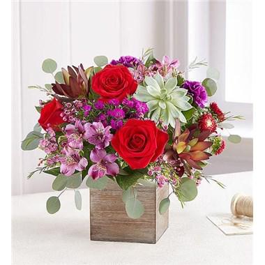 EXCLUSIVE Rustic country meets modern radiance. Our new farmhouse-style bouquet showcases a loose, natural gathering of blooms in gorgeous red and purple jewel tones, with a fresh succulent for an unexpected touch. It’s displayed inside our grey washed wooden cube for the perfect contrast. A cozy yet contemporary arrangement that will light up any space.