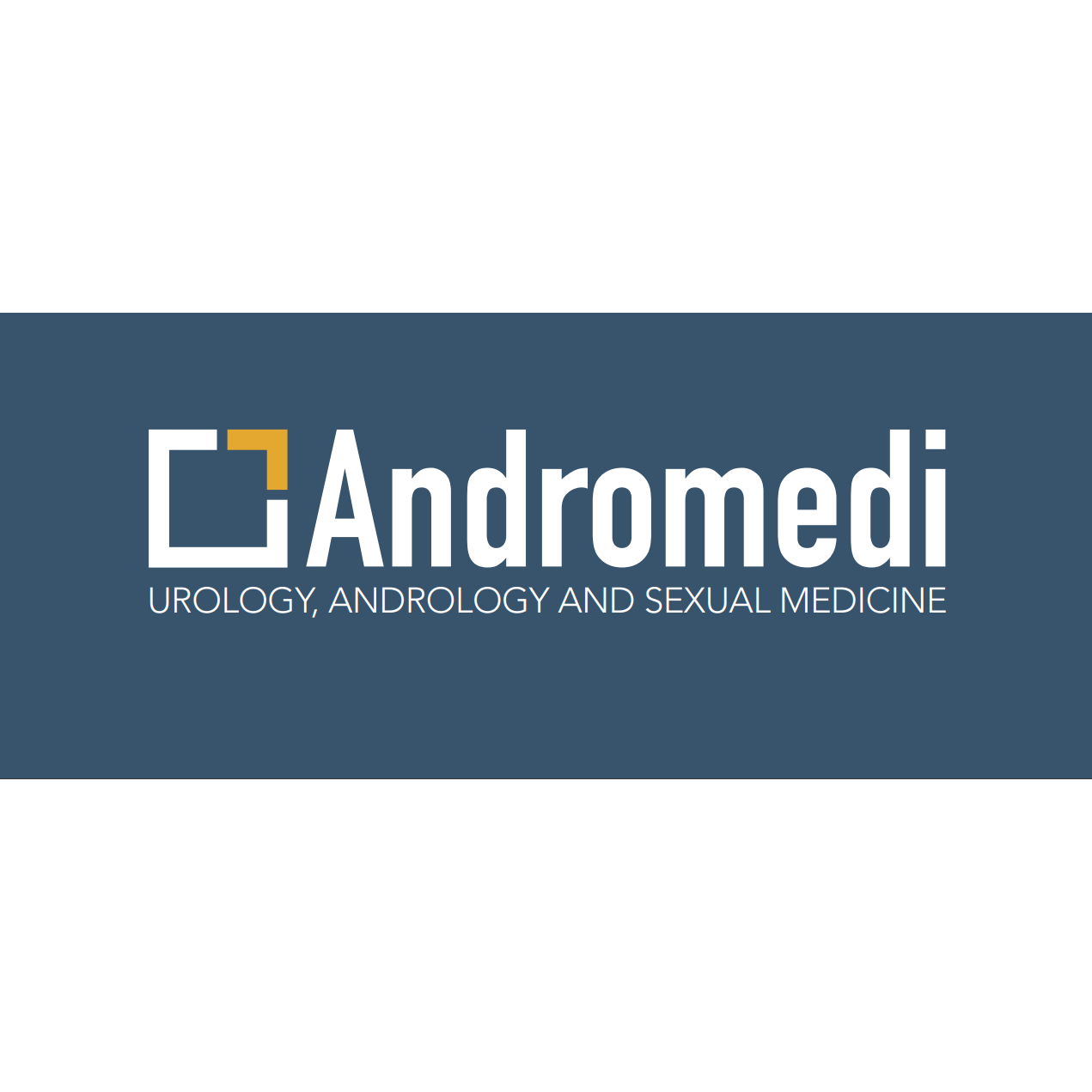 Andromedi Logo