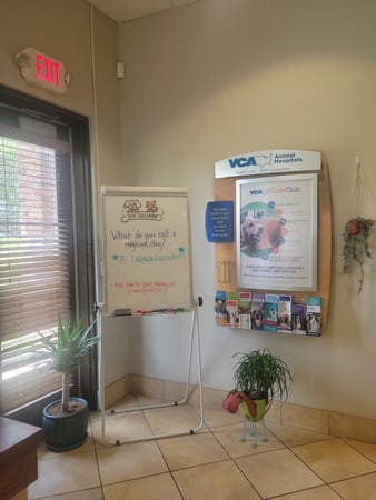 Images VCA Saginaw Animal Hospital