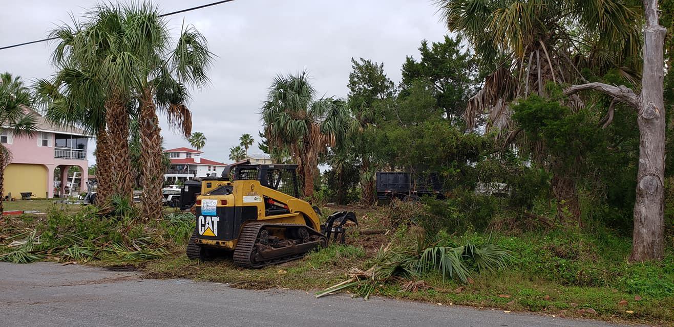 Mikey's Tree Service Photo