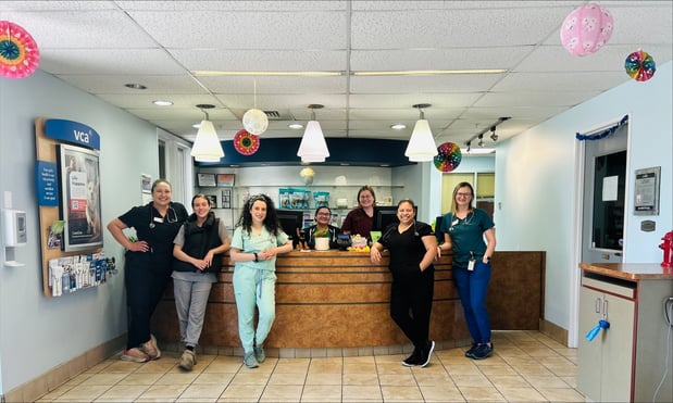 Images VCA Fort Collins Animal Hospital