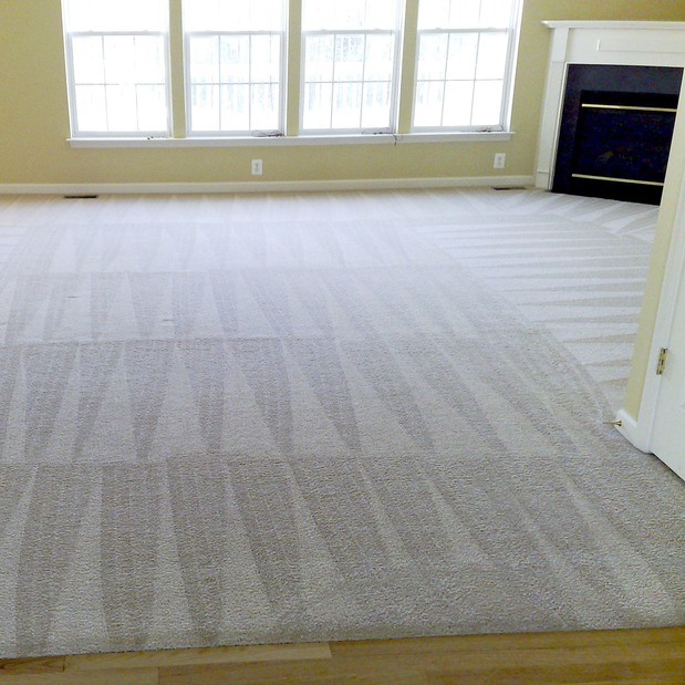 Images Stat Carpet Cleaning