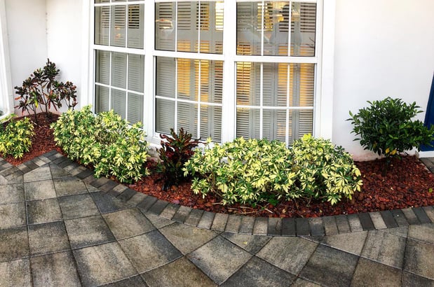 Images Area's Best Landscape Design & Irrigation