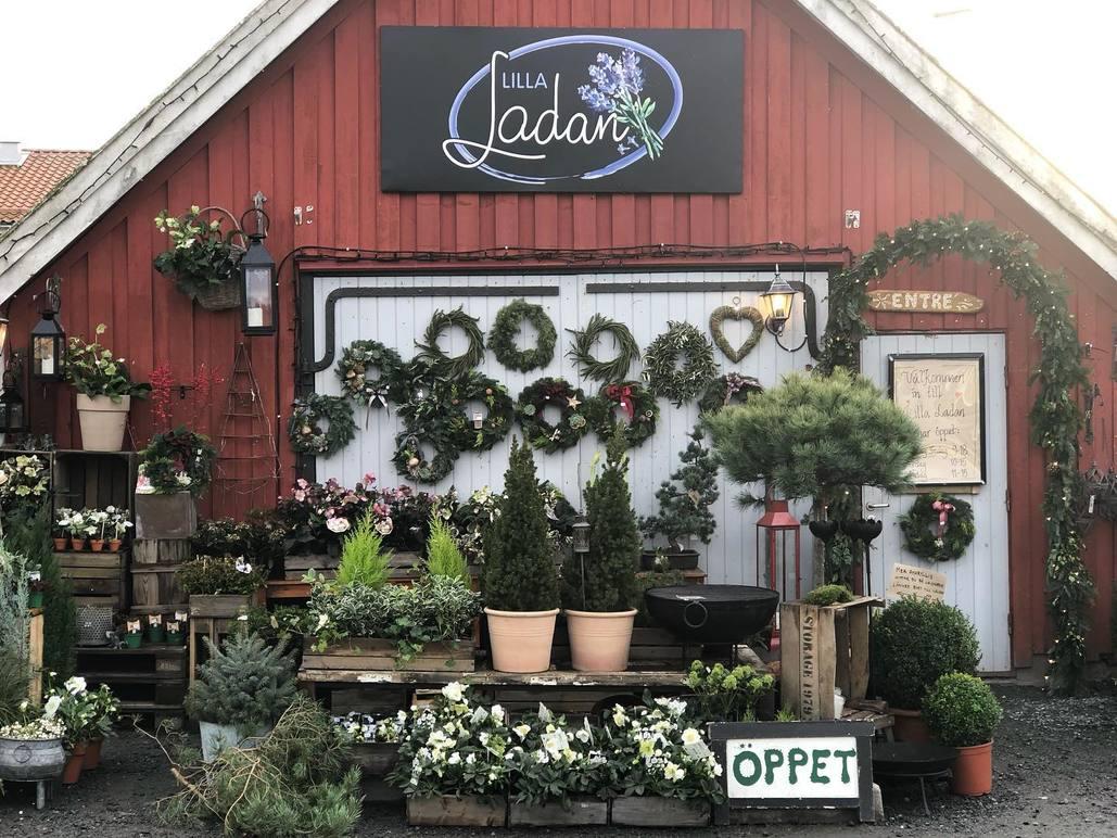 Images Lilla Ladan - Blommor Frillesås
