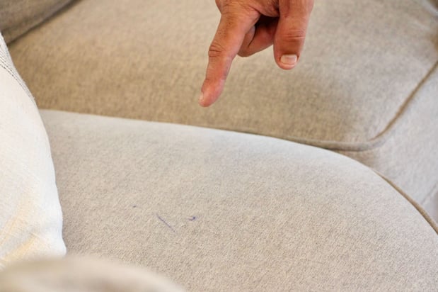 Images Raleigh Chem-Dry Carpet and Upholstery Cleaning