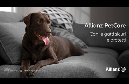 Images Allianz - Benelli Consulenti Assicurativi