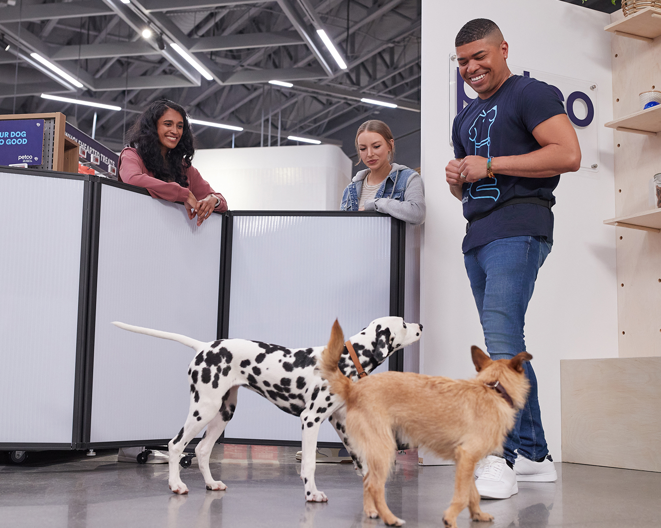 Dog Training Near You | Petco Dog Trainers in Pittsburgh, PA