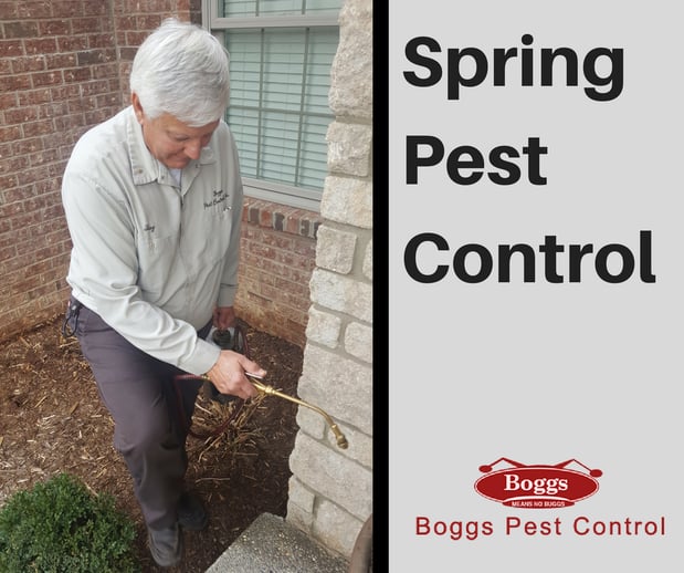 Images Boggs Pest Control