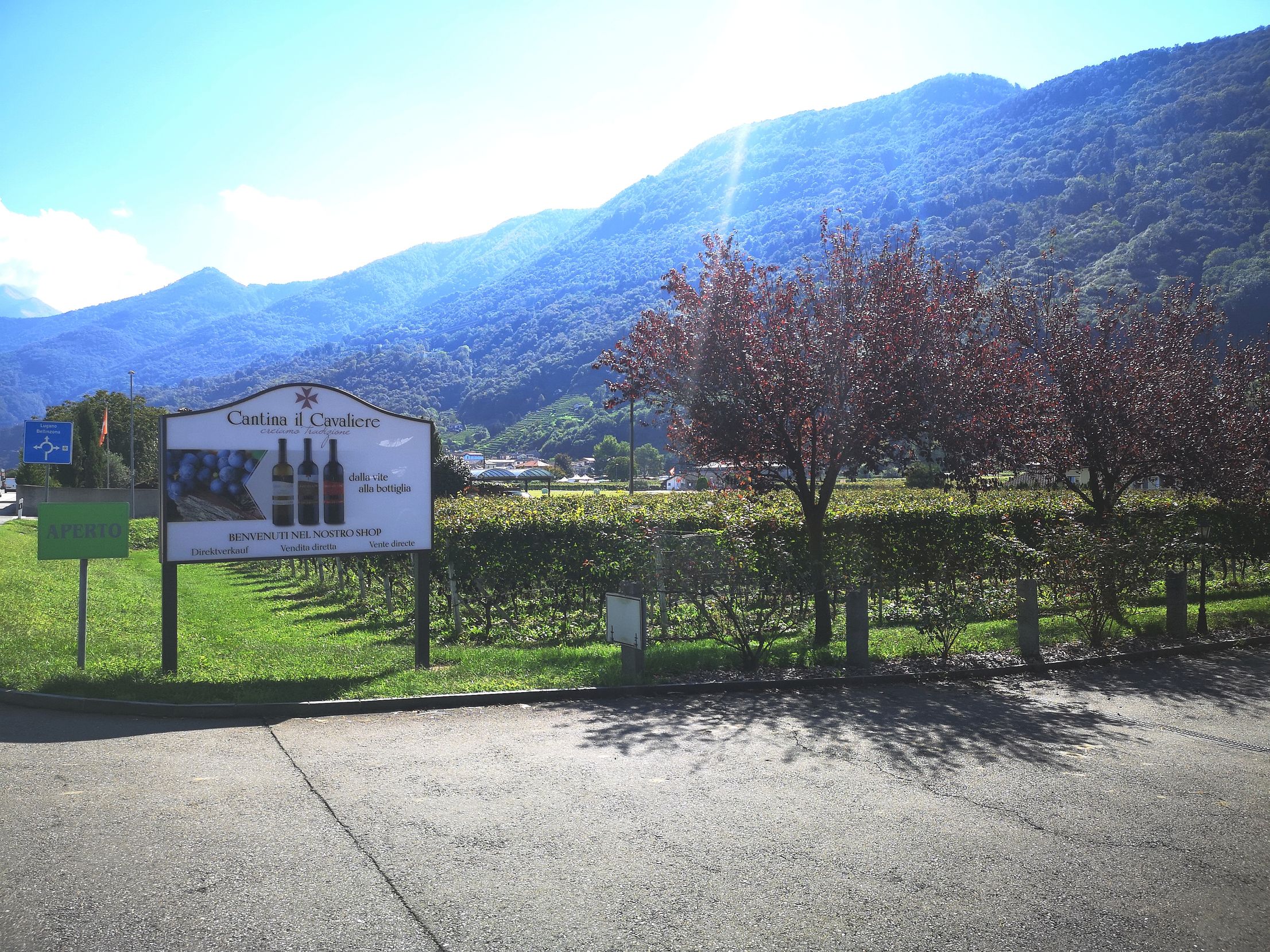 Bilder CANTINA IL CAVALIERE SA