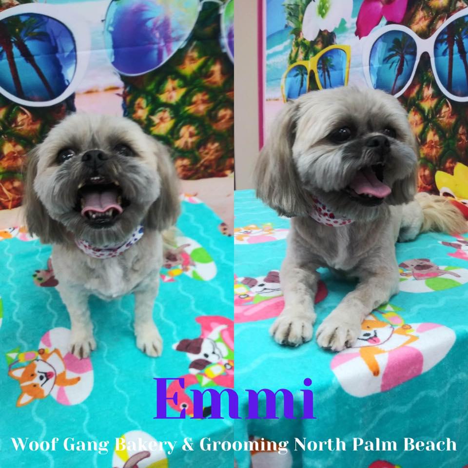 Woof Gang Bakery & Grooming North Palm Beach Photo