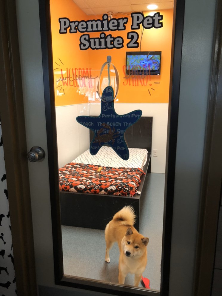 Your fur baby will enjoy their stay! Call now!