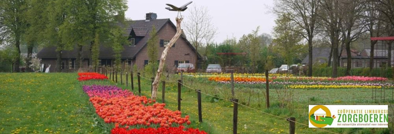 Foto's Zorgboerderij Rondmeer