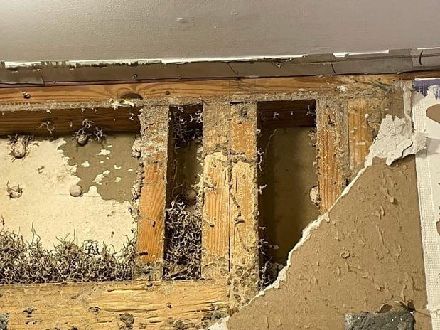 Images Home Run Pest & Termite Control