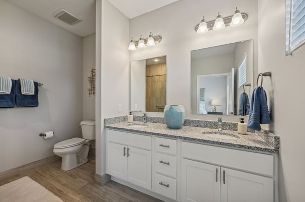 Images Sugar Maple Commons