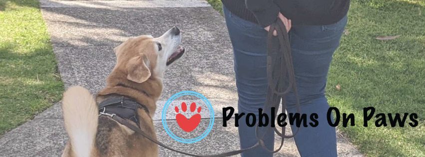 Images Problems on Paws
