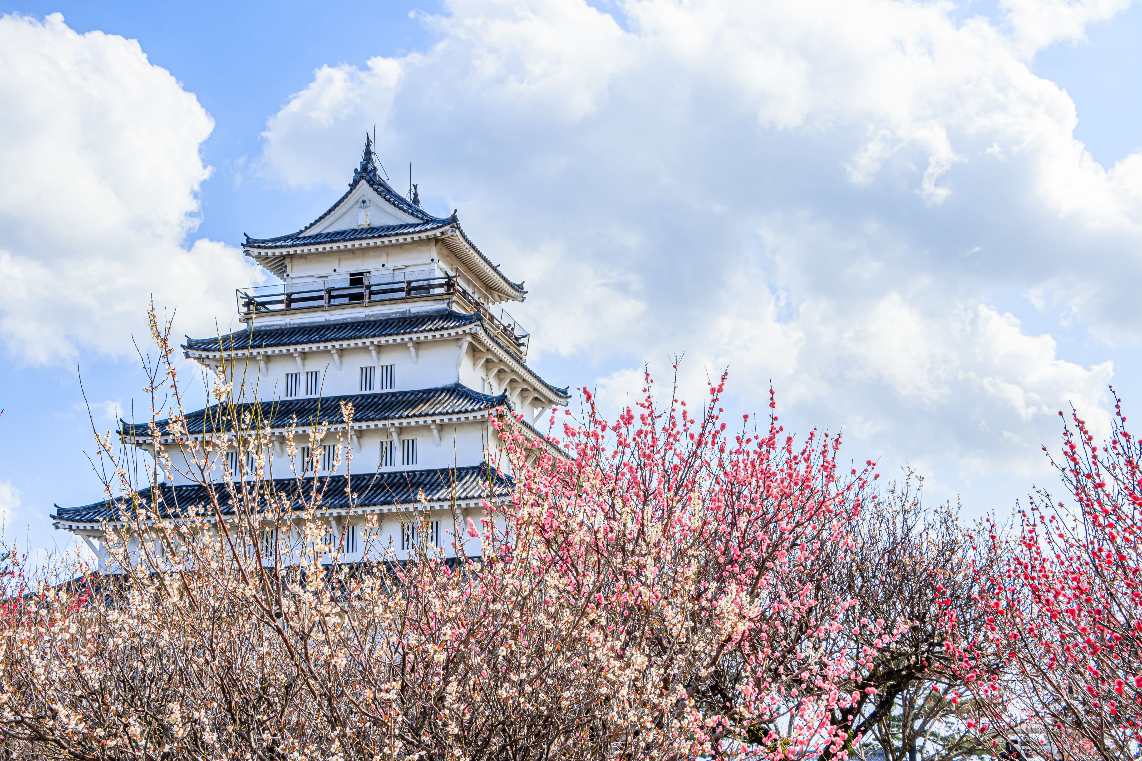Images Enjoy Kyushu