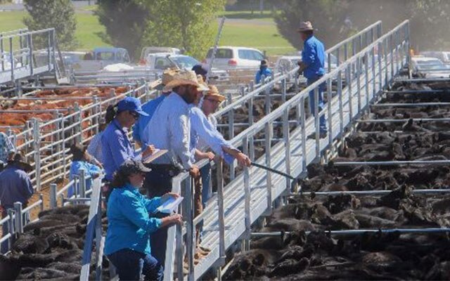 Images Monaro Livestock & Property Pty Ltd