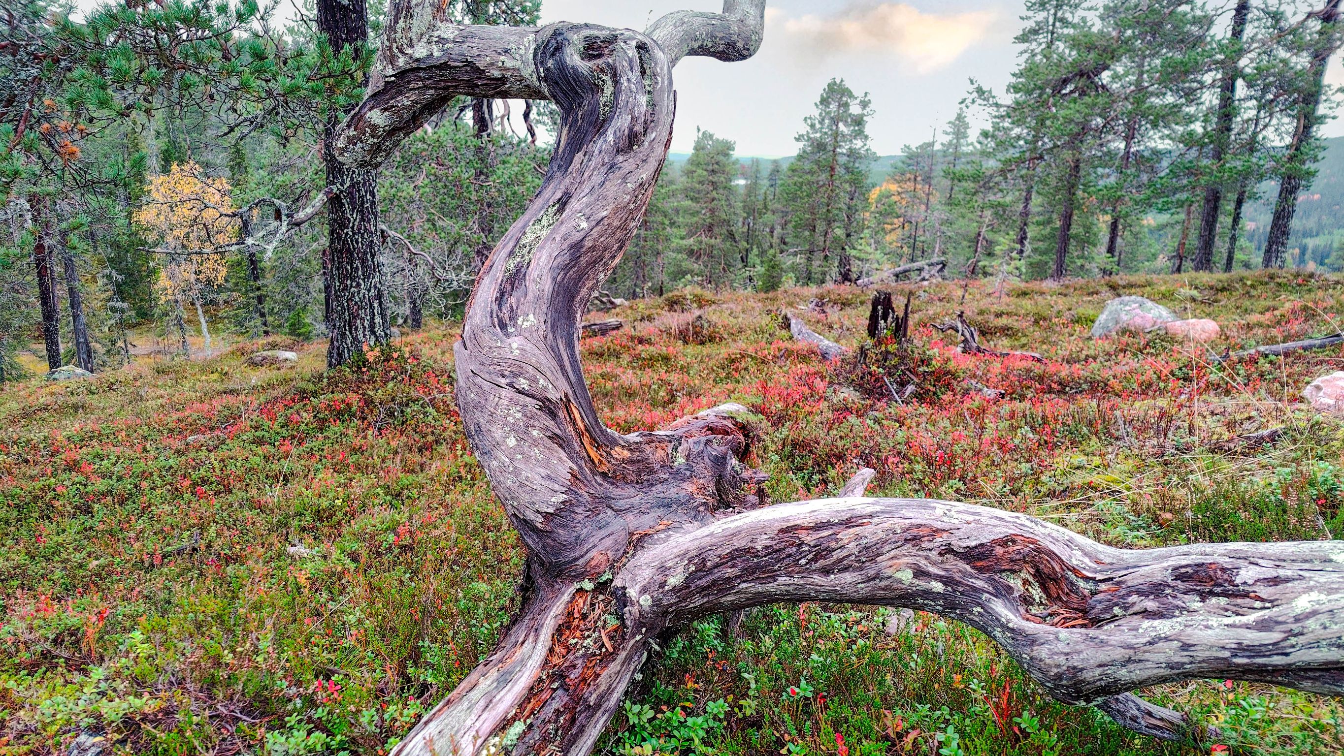 Images Varaamökki.com