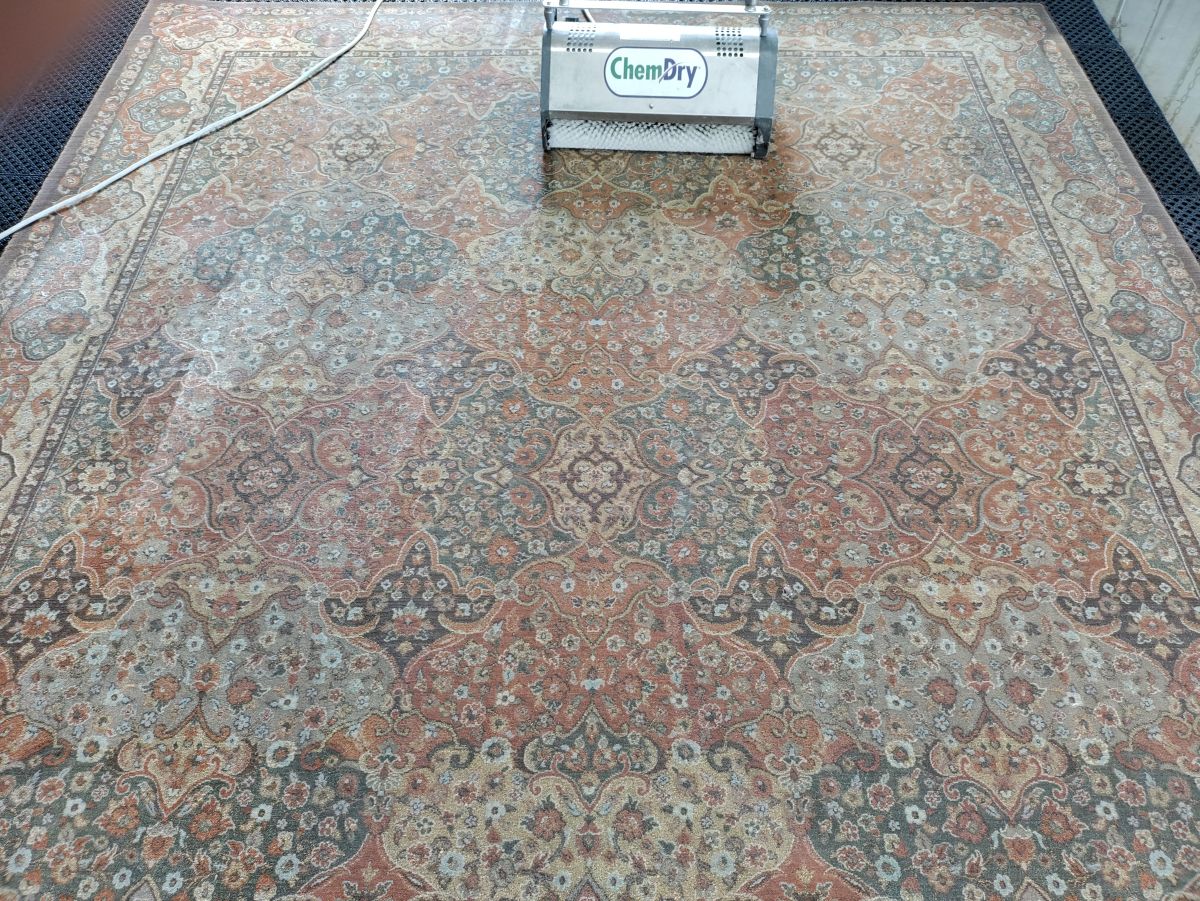 oriental rug cleaning services area rug cleaning services