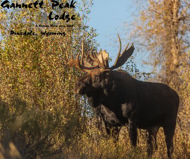 Images Gannett Peak Lodge