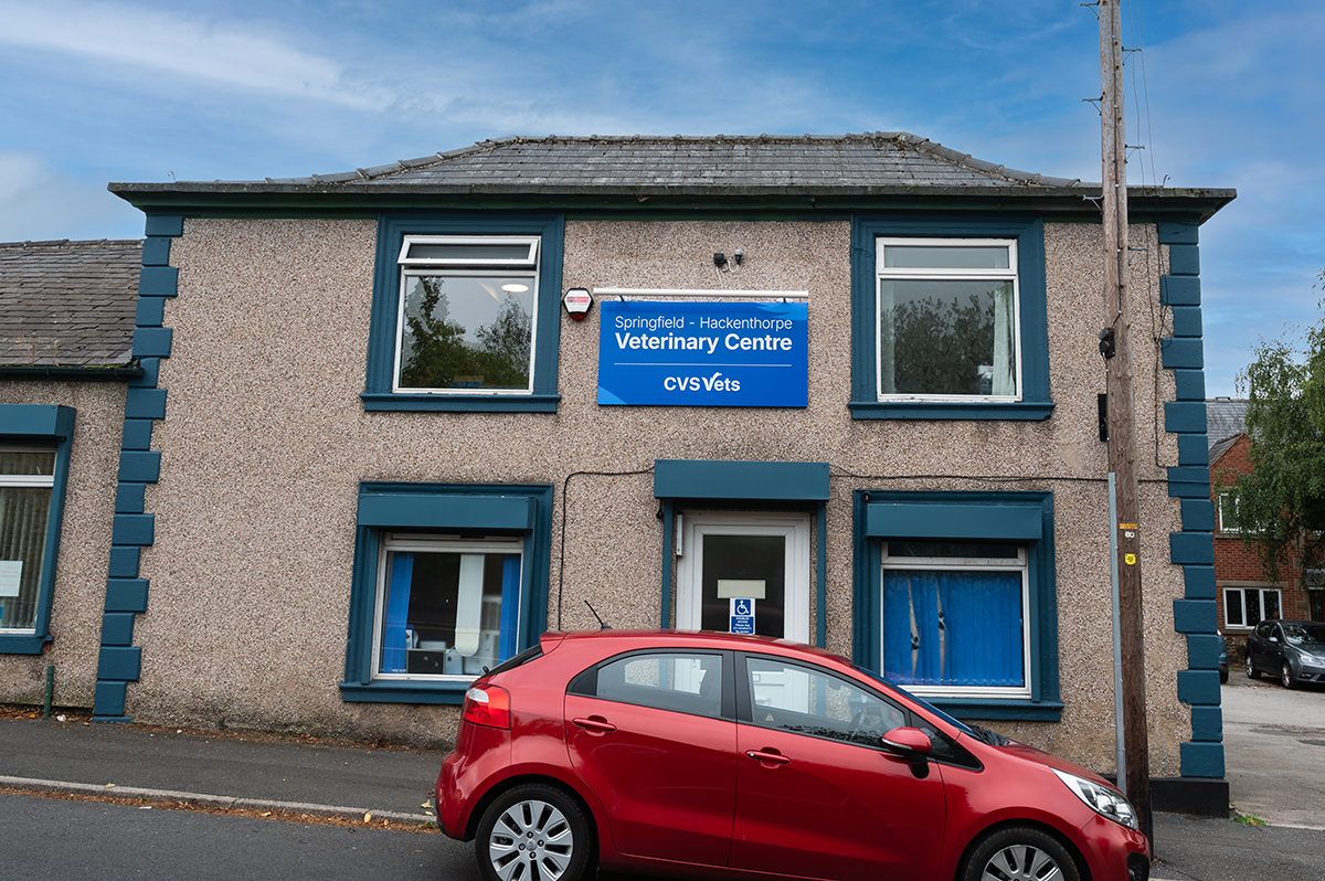 Springfield Veterinary Centre - Hackenthorpe