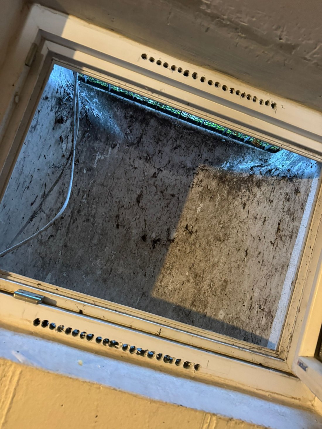 Bild 19 von Sun-Protect Fensterreparatur +Sonnenschutz e.U.