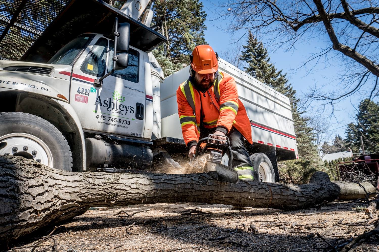 Ashleys Tree Care