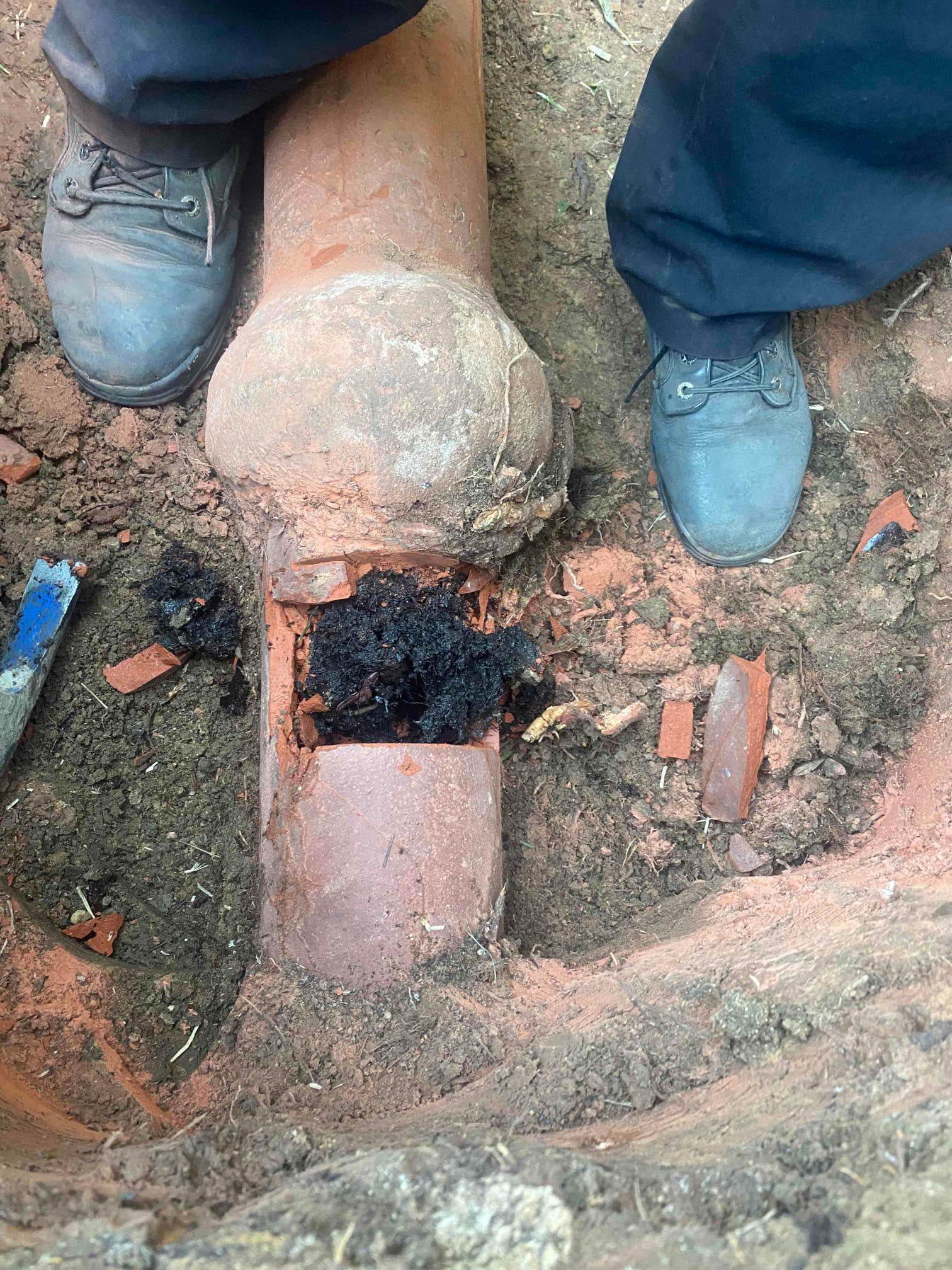 Team Rooter Plumbing - San Diego Image