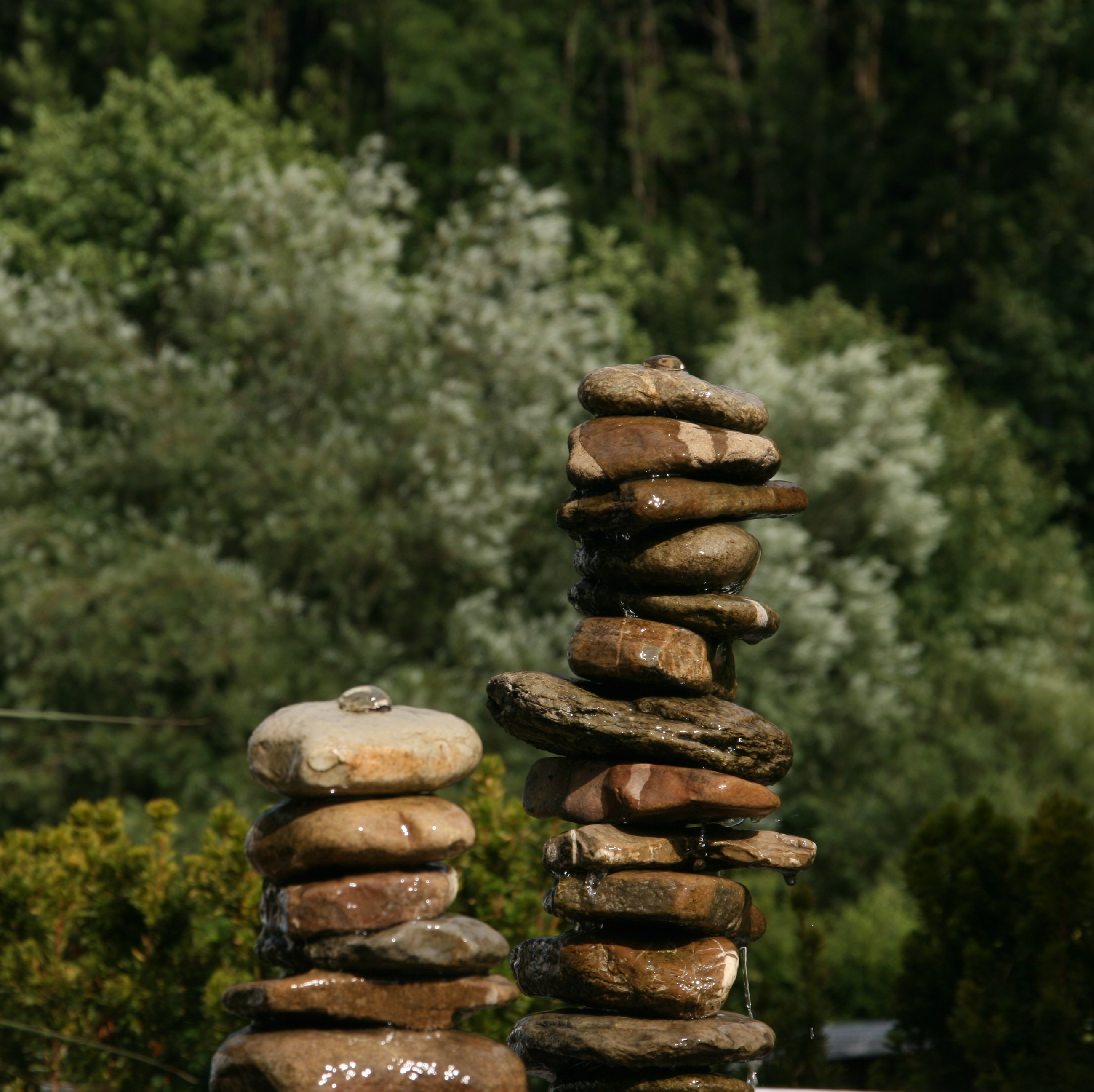 Bild 21 von Grün-Zone