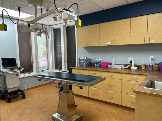 Images VCA Fort Collins Animal Hospital