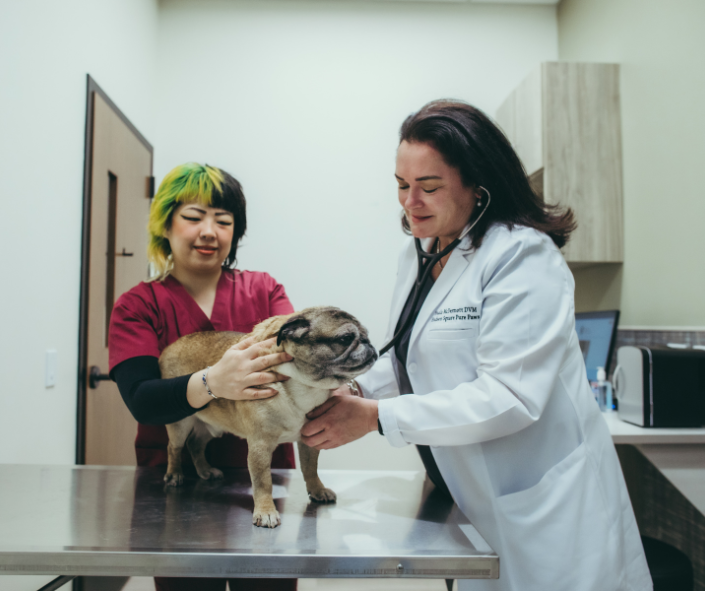 Images Pure Paws Veterinary Care of Hudson Square