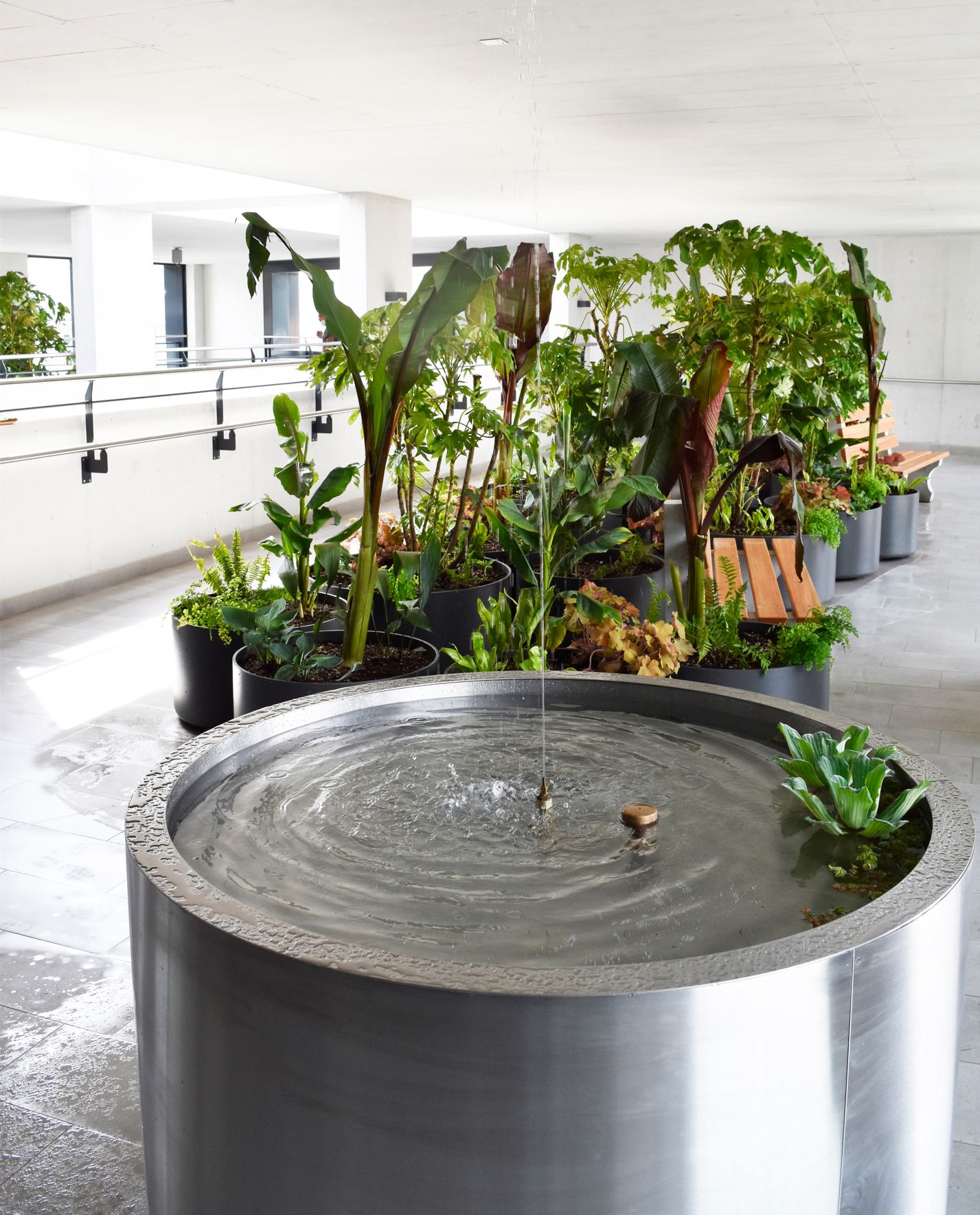 Bilder Forni Fabio SAGL