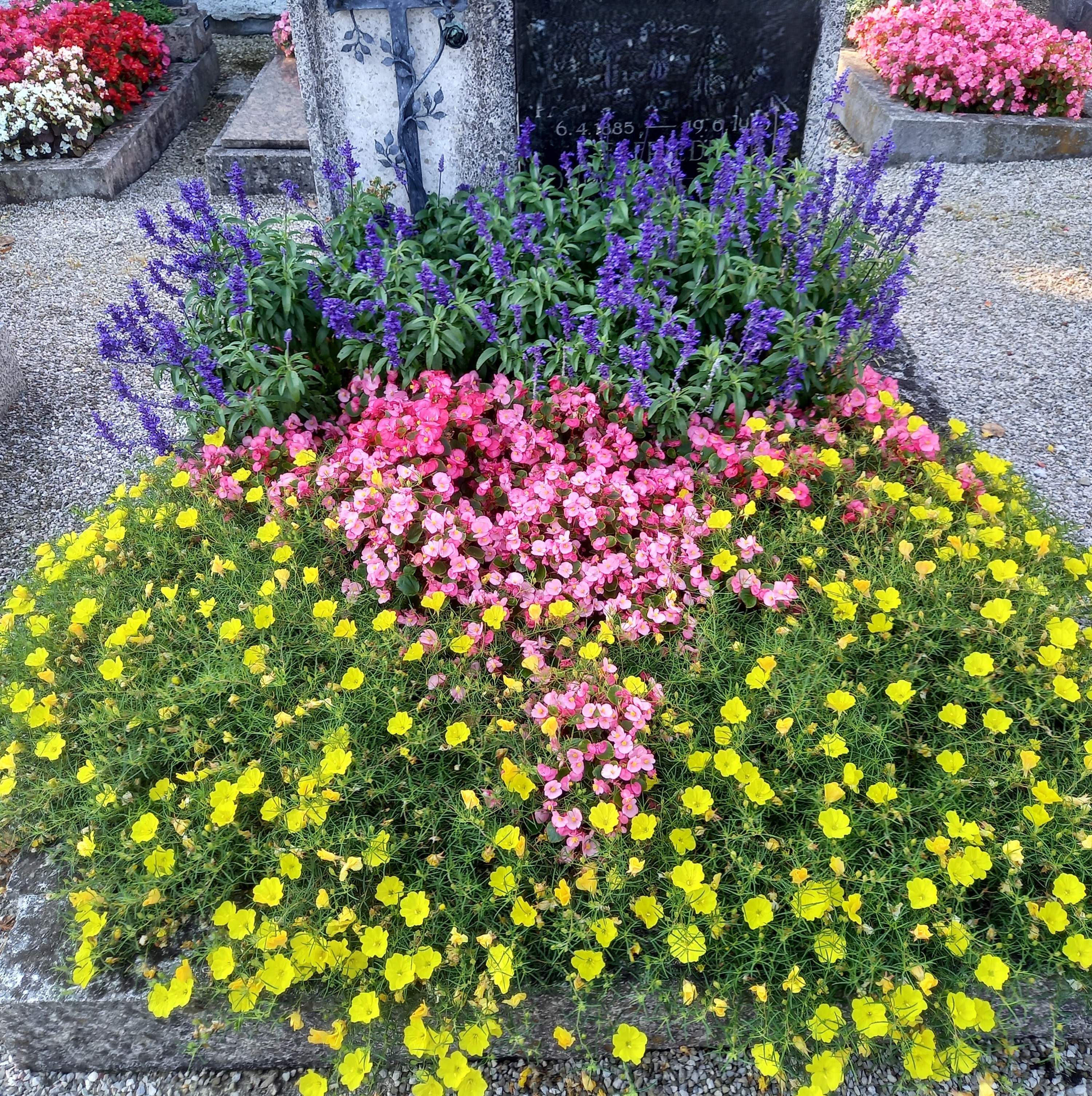 Bild 22 von Grün-Zone