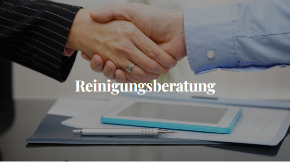 Yilmaz Reinigungsexperte, Rautistrasse 12 in Zürich