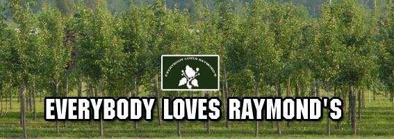 Images Everybody Loves Raymond's Tree Service