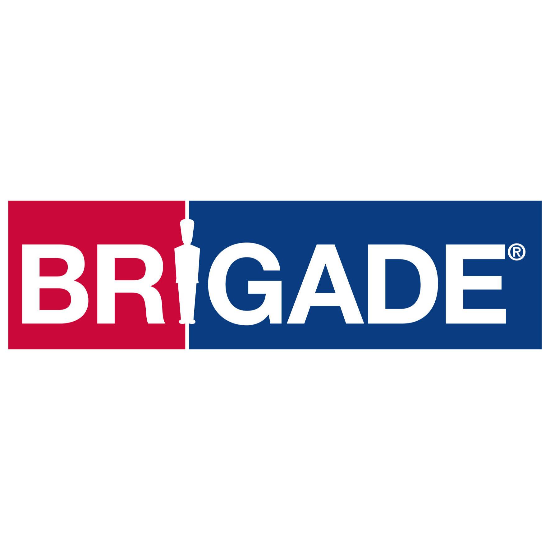 Logo BRIGADE Elektronik GmbH
