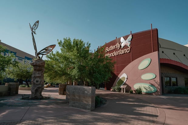 Images The Penrose Team @ eXp Realty