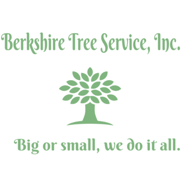 Berkshire Tree Service, Inc Logo