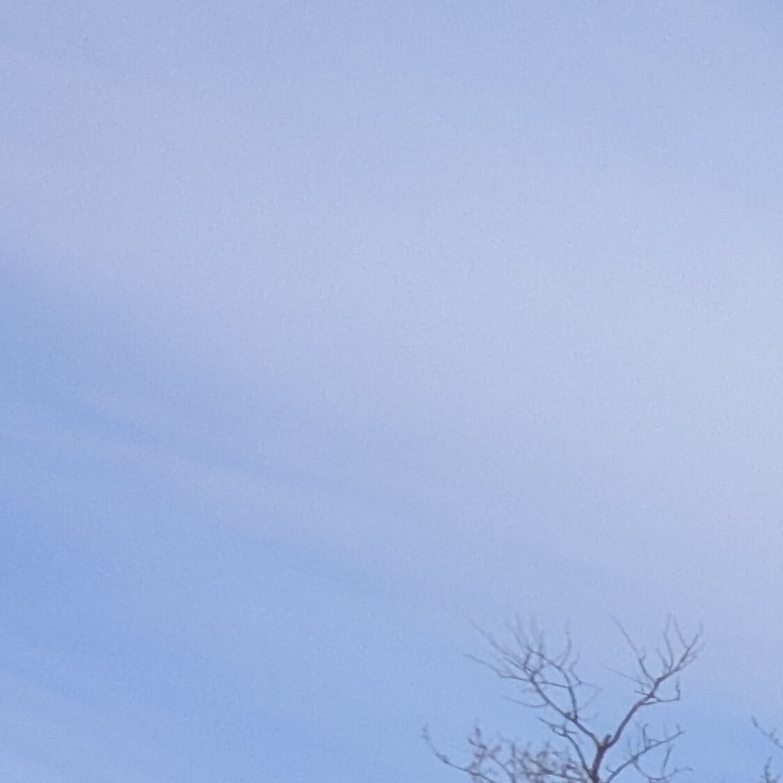 Ingenieurbüro Dahab und Zeller GbR - Ihr Partner für Kfz-Gutachten, Schäferwiese 12 in Salzgitter