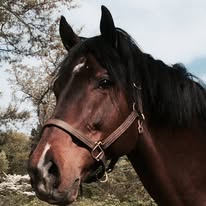 Center Peace Farm Image