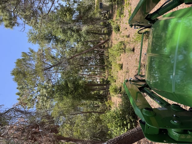 Images Trent's Tree Service The Neighborhood Arborist LLC