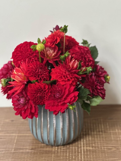 Images Jane's Roses & Flowers